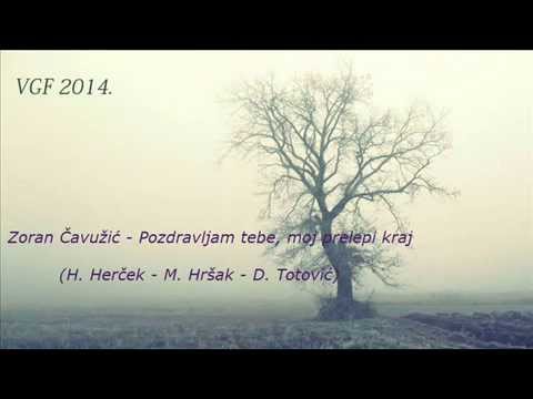 Zoran Čavužić - Pozdravljam tebe, moj prelepi kraj