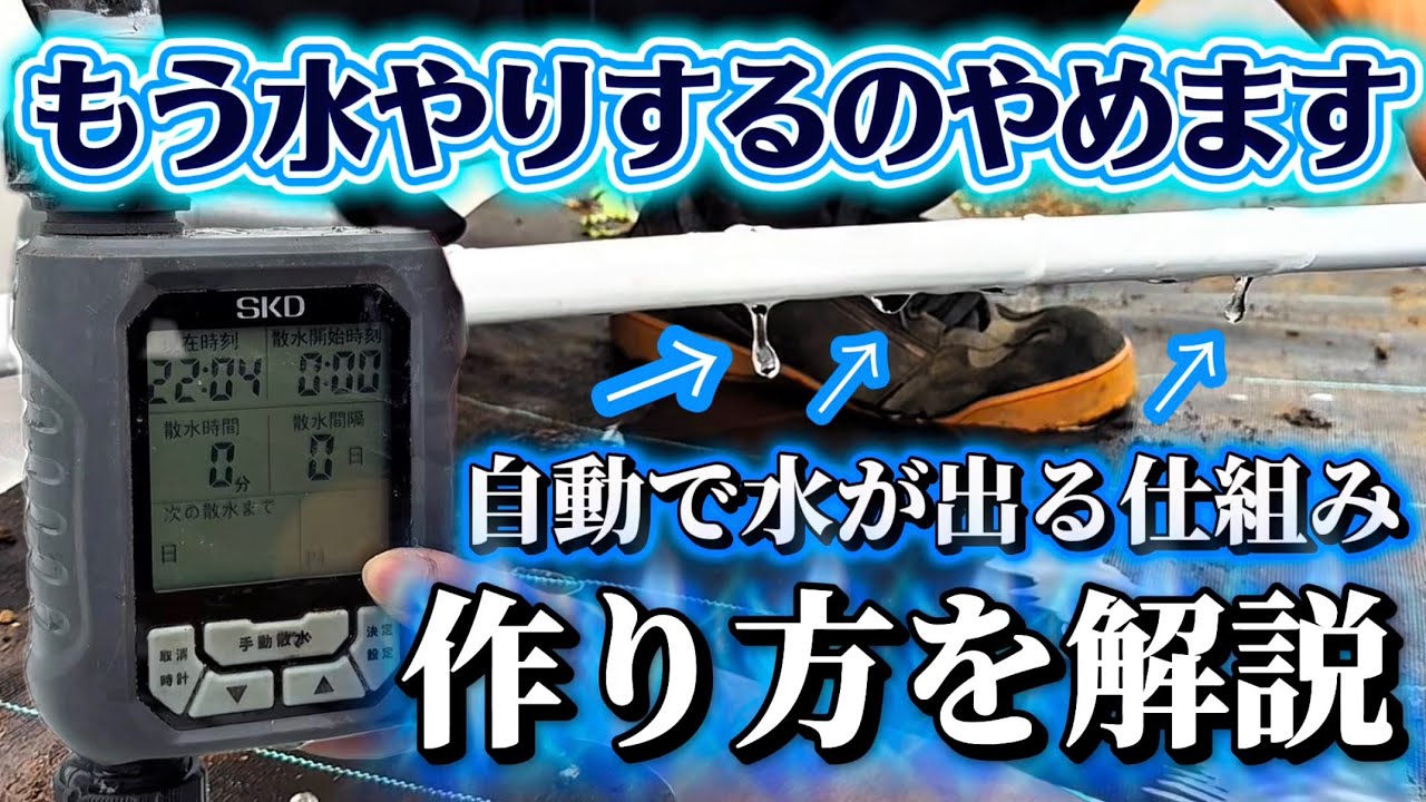 【水やりするのやめました】自動で水が出る仕組みの作り方と買うべきものについてお話しします