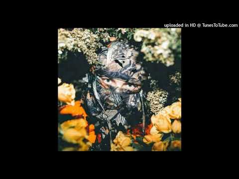 Snövit feat. Erk från Trainspotters - Fjällrave