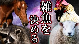 【Ultimate Chicken Horse】一番強い奴を決めに行く【とこきな】
