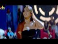 Swagatam Movie Anushka Jagapathi Babu And Sunil Comedy Telugu Movie Scenes Sri Balaji Video