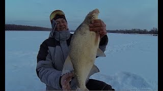 Ловля зимой на безмотылку леща