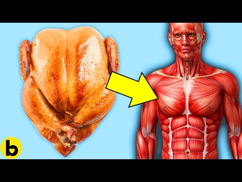 7 Health Benefits Of Eating Turkey