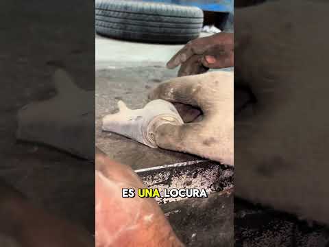 ¿Por qué tu carro da un GOLPE al acelerar? (Soporte de motor roto) #shorts