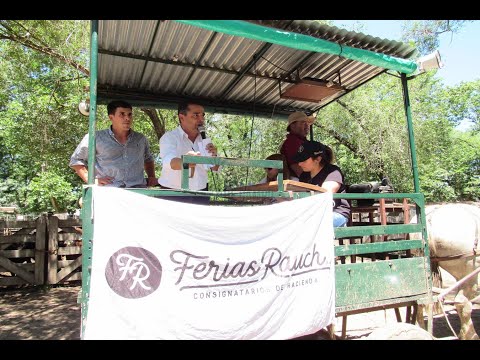 Resumen del último remate del año de Ferias Rauch - Jueves 16 de diciembre de 2021 - Rauch