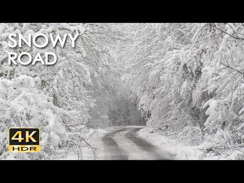 4K HDR Snowy Road – Peaceful Forest Snowfall Ambiance