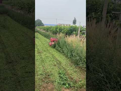 Remote Control Flail Mower | Best Slope Mower for Steep Hills & Rough Terrain #bestinmower