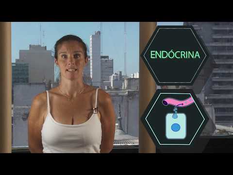 FISIOLOGÍA: Sistema Endocrino