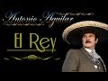 Antonio Aguilar     El Rey   Letra