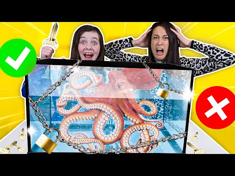 CHOOSE THE RIGHT KEY CHALLENGE with MEISJEDJAMILA | Who wins the prize and who loses out? - Bibi