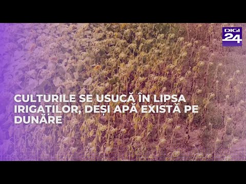 Fermierii din județul Brăila spun că vor da în judecată ANIF #digi24