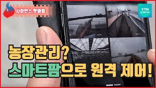장소에 구애받지 않고 농사를 지을 수 있는 스마트팜 / YTN 사이언스