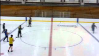 preview picture of video '2012 UAA-Geneseo Broomball Tournament Final'