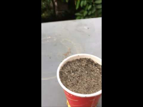 Risk Takers - Sinkhole Simulation DRRR