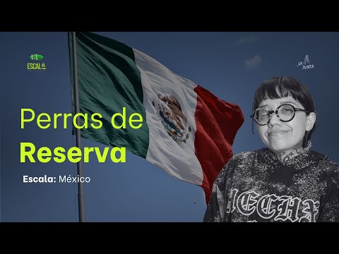 Mucha gente la odia y no le importa| Dahlia de la Cerda y la literatura que incomoda
