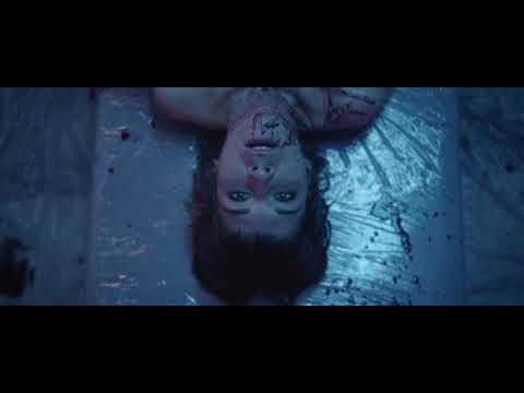 WAHNSCHAFFE - D.F.M. (Official Video)