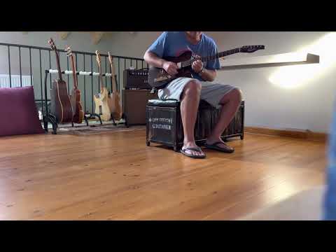 Canalli Brazilian Rosewood Telecaster 2022 - Wax Natural image 9