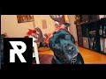 REDFIELD ALL-STARS - Santa Claus Is Coming To Town (Official Video) XMAS / Christmas Metalcore Cover