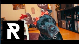 REDFIELD ALL-STARS - Santa Claus Is Coming To Town (Official Video) XMAS / Christmas Metalcore Cover