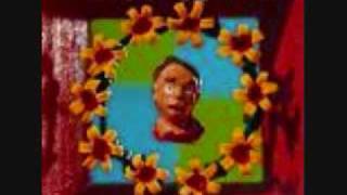 Marcy Playground-Ancient Walls of Flowers