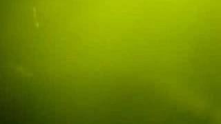 Dashboard Confessional-Bend not break