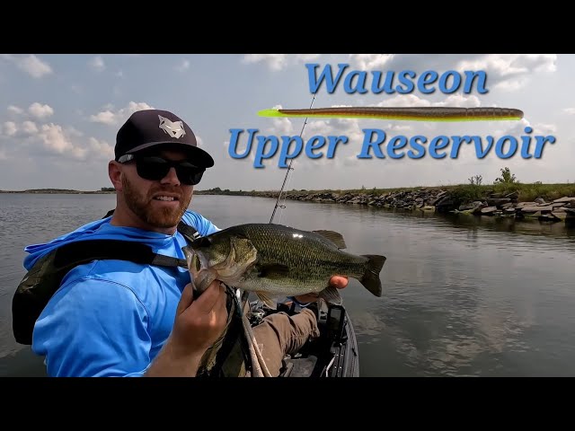 Judge.me YouTube video placeholder