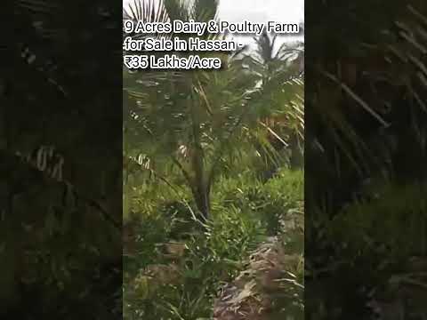 Hassan, 18 km from Hassan city- Land Area: 9 acres