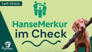 HanseMerkur Tierkrankenversicherung im CHECK: Wie gut ist der Schutz w