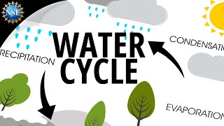 Water Cycle | How the Hydrologic Cycle Works