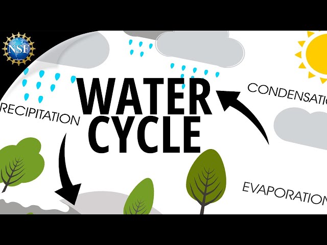 Understanding the Water Cycle: The Lifeblood of Earth | Magica