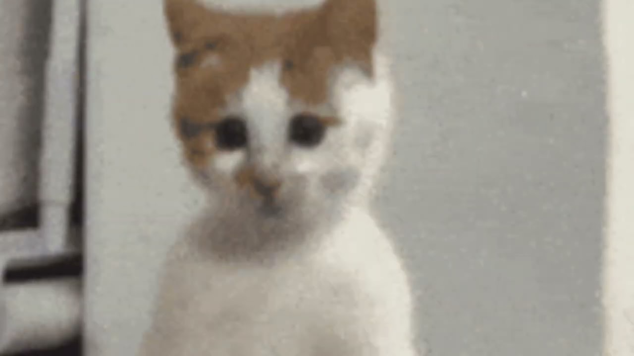 The Next - By Bitter Monk