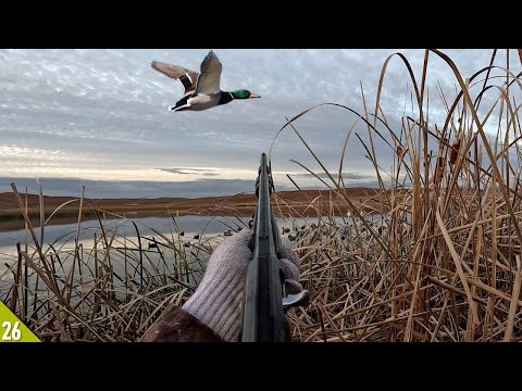 MIXED BAG Kayak Duck Hunt (All Drakes) | Solo Duck Hunt Over a COOT Raft