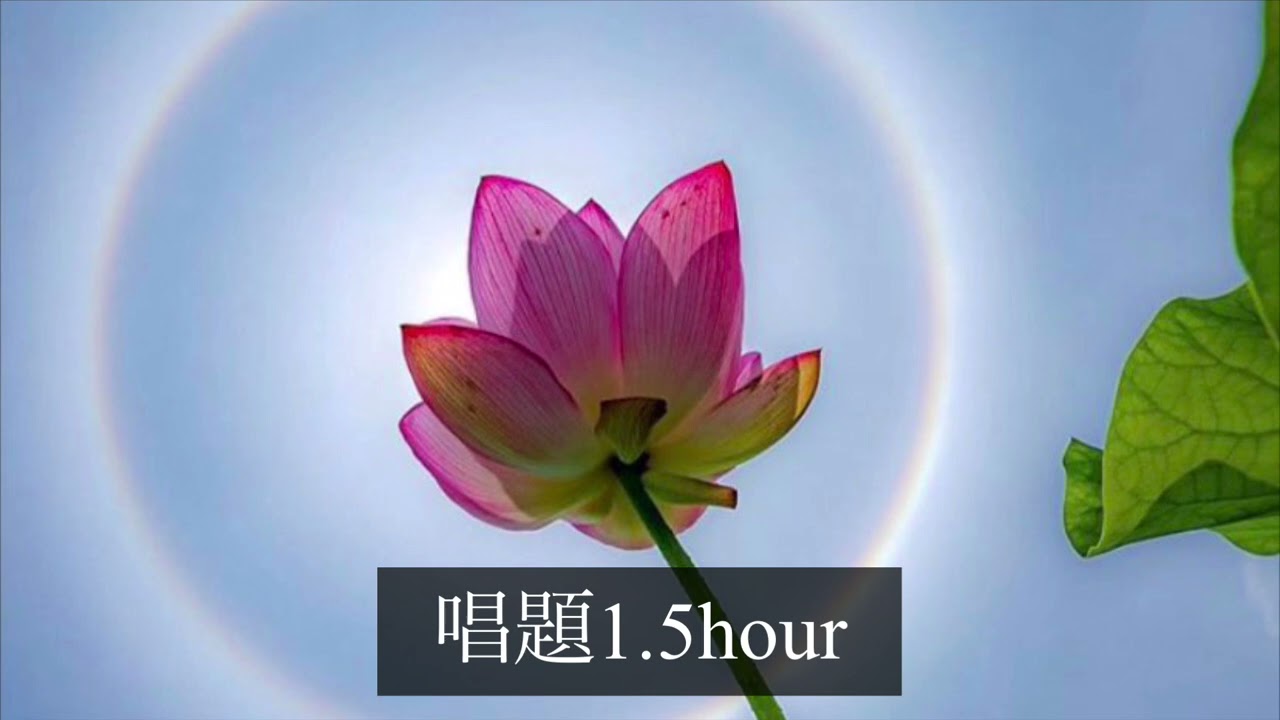 SGI 池田名誉会長 daimoku (1.5hour)  〜Nam myoho renge kyo〜