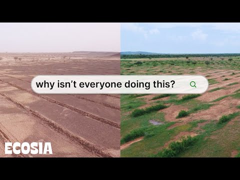 Ecosia: Browse to plant trees. video