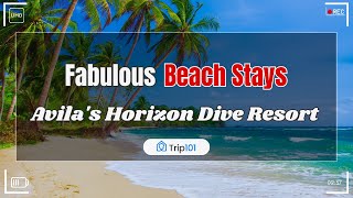 🌊  Avila's Horizon Dive Resort: Dive Deep with Owner Jesica’s Insights 🐠🏝️