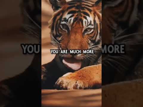 NEVER UNDERESTIMATE YOURSELF  #attitude #attitudestatus #lion