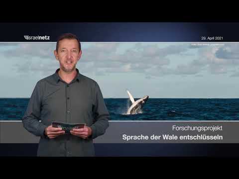 Israelnetz Nachrichten vom 29.04.2021