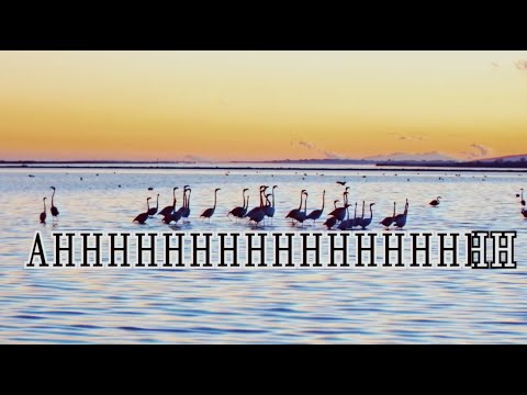 Video thumbnail for Featured Singer