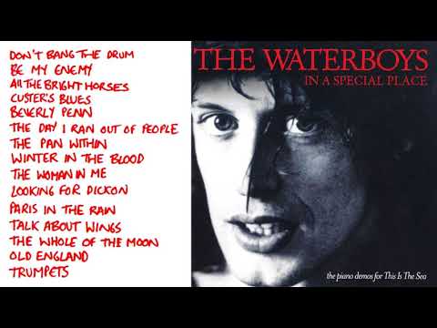THE WATERBOYS • In a Special Place 🎵 The PIANO DEMOS For THIS IS THE SEA 🎵 Full Album HQ AUDIO