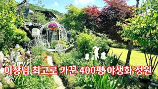 마을 이장님이 최고급으로 꾸며본 400평의 우아한 야생화 정원