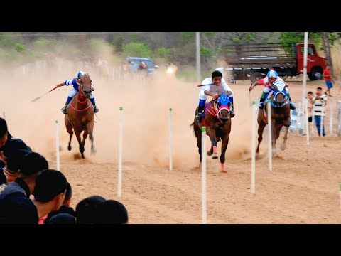 VI PENCA DOS AMIGOS - Cajazeiras do Piauí 2025 / Stud dos Amigos 