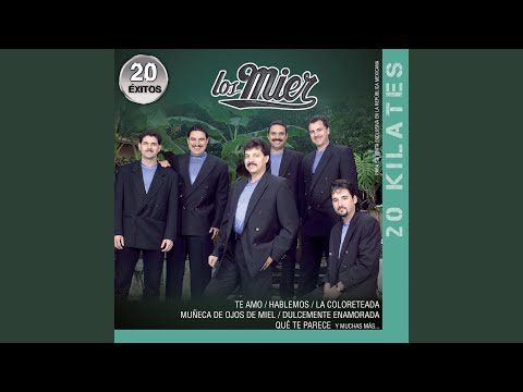 Te Amo - Los Mier