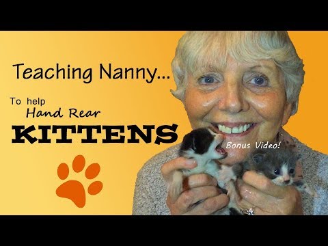 Teaching Nanny- To Help Hand Rear Kittens!