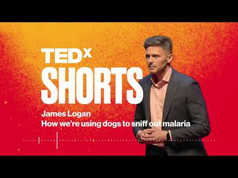 How we’re using dogs to sniff out malaria | James Logan | TEDxLondon