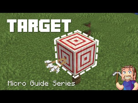 Target - Minecraft Micro Guide