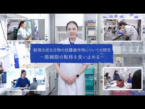Our Story（澤井葉さん―新規合成化合物の抗腫瘍作用についての研究）