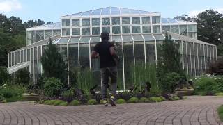 Dragon House | Cordaro | Araabmuzik DayDreams pre