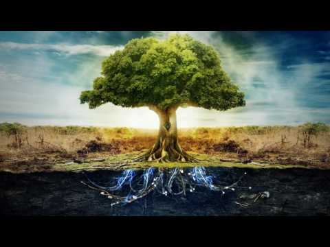 Frazze - Now (Royalty / Copyright free music)