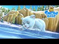 Boonie Bears Snow Daze Little Polar Bear Part Two EP51