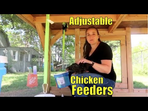 , title : 'Hanging Automatic Chicken Feeder and Waterers'